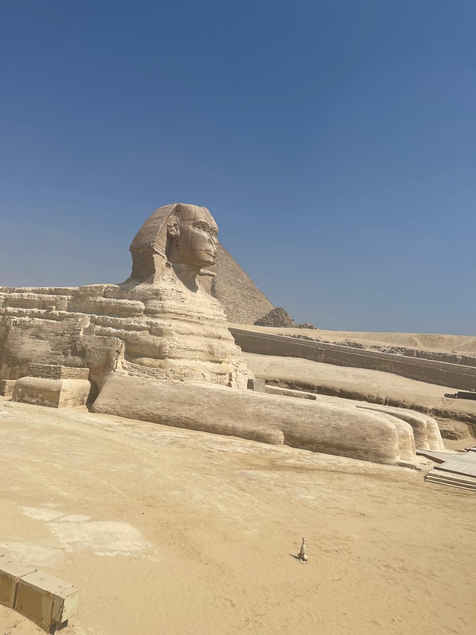 Egypt Travel Experience 8